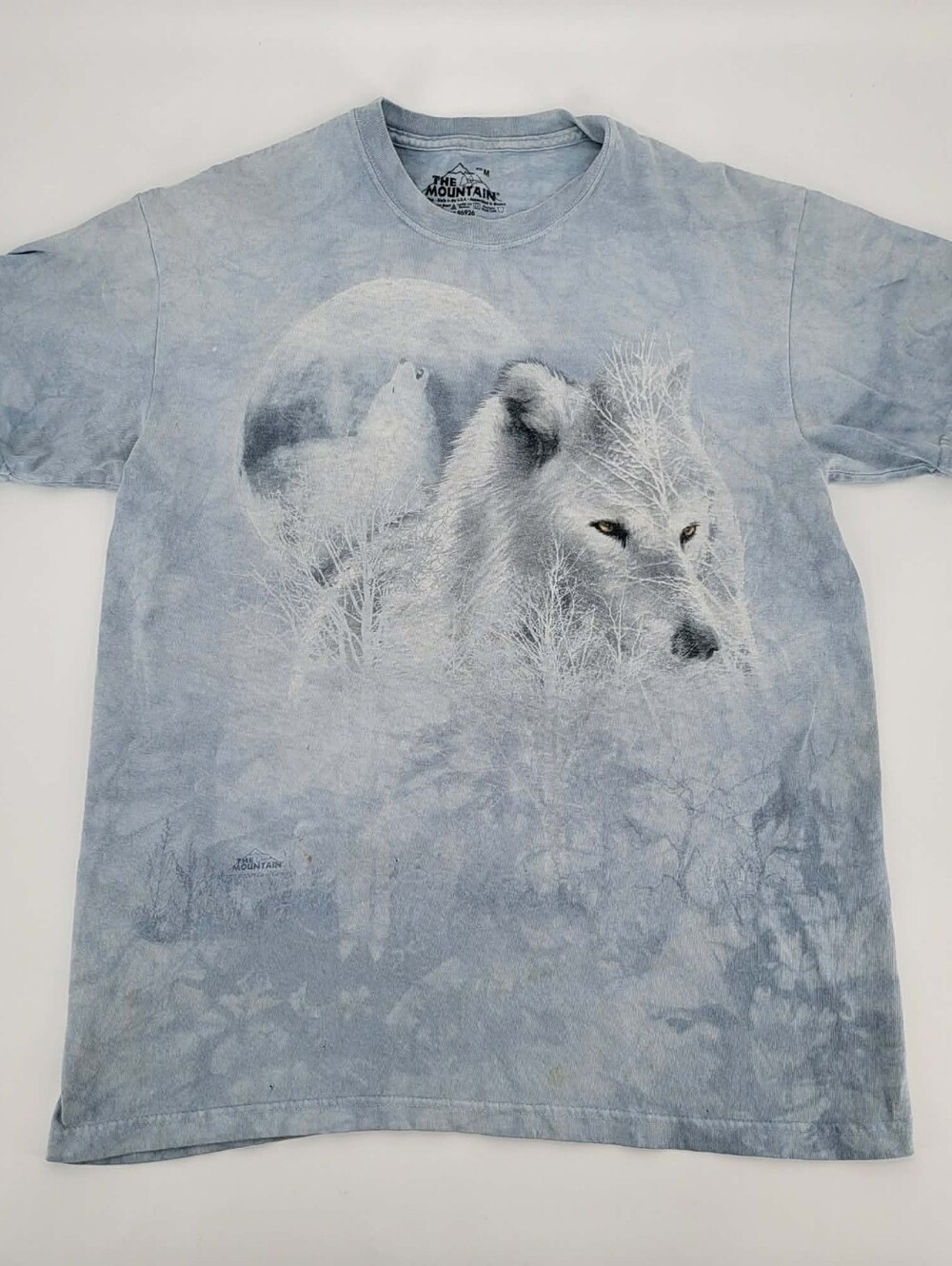The Mountain Men's Wolf Graphic T-Shirt - Light Blue